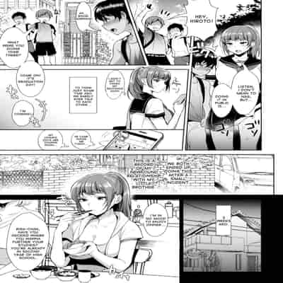 (C92) [Inariya (Inari)] Kyoudai ni Okeru Seikoushou no Kiroku [English] [desudesu]