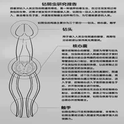 [skyzen] 寄生虫系列 [Chinese]