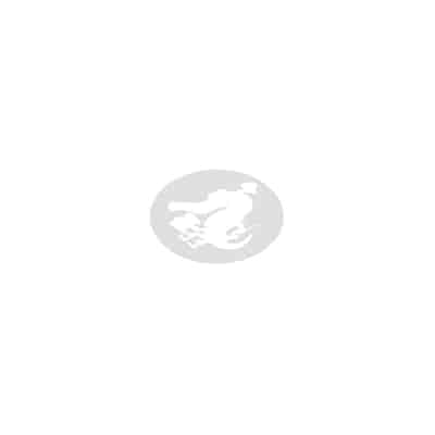 [Kameyoshi Ichiko] Level 1 no Himekishi-san to Yurufuwa Mujintou life 2 [Digital] [Chinese] [Decensored]
