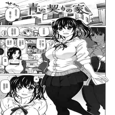 [駄菓子] 契りの家 [大山花王重嵌] v2