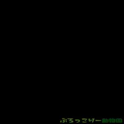 [ぶろっこりー動物園 (ぶろどう)] ＂好きな男子がいたけど信じてたパパにレ○プされて赤ちゃんができました＂