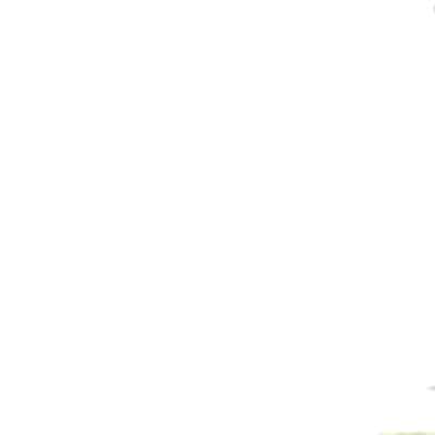 (C104) [North70 (七尾ゆきじ)] 望月流催眠の掟 (新サクラ大戦)｜望月流催眠的戒律 (新·樱花大战) [拉狗个人汉化]