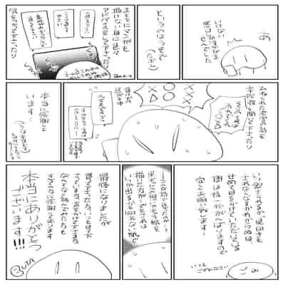 [BUTA] 