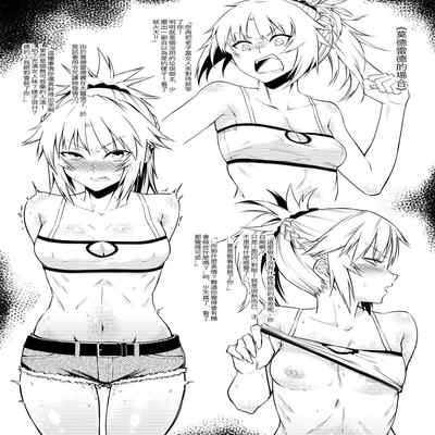 [F W ZHolic (FAN)] Namaiki na Servant-tachi o Reiju de Kyousei Hatsujou Sasete Mita 對那些高傲的從者們用令咒使其強制發情的情況 (Fate Grand Order) [Chinese] [Digital]